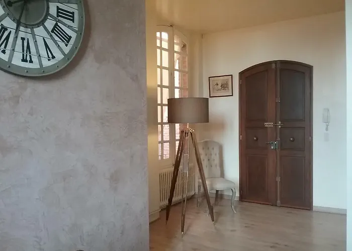 Pied A Terre De Charme - 80 M2 - Hyper Centre - Parking Appartement Albi