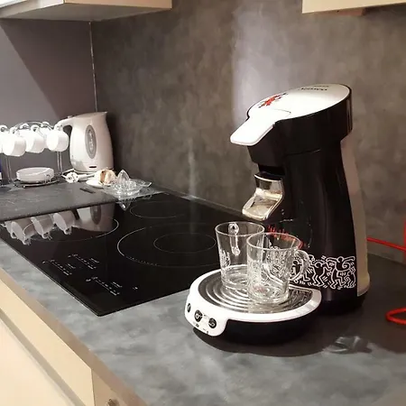 Pied A Terre De Charme - 80 M2 - Hyper Centre - Parking Apartment Albi