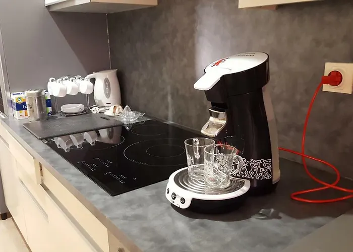 Pied A Terre De Charme - 80 M2 - Hyper Centre - Parking Апартаменты Альби